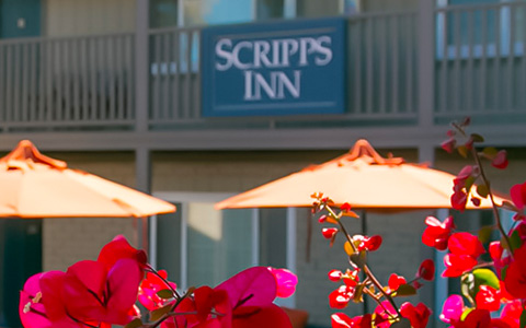 close up of bright pink flowers in front of scripps inn