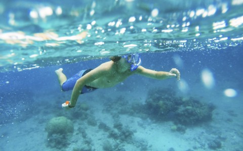 younger man snorkeling underwater