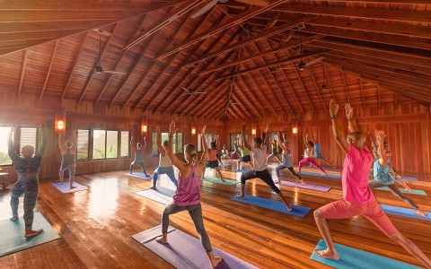 large group doing yoga in a studio 