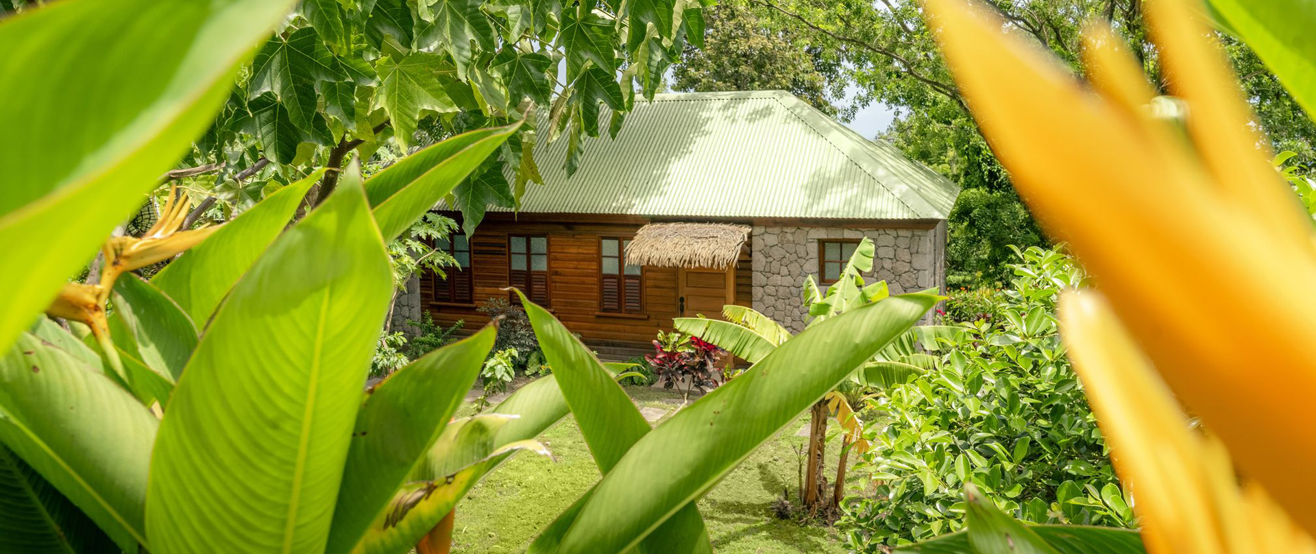view of bungalow from the jungle