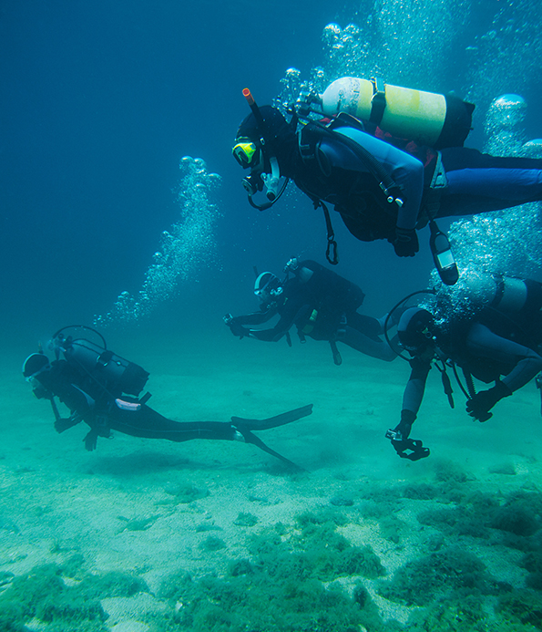 four divers underwater near the ocean floor