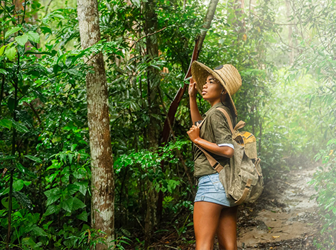 junglebaydominica homepage reviews