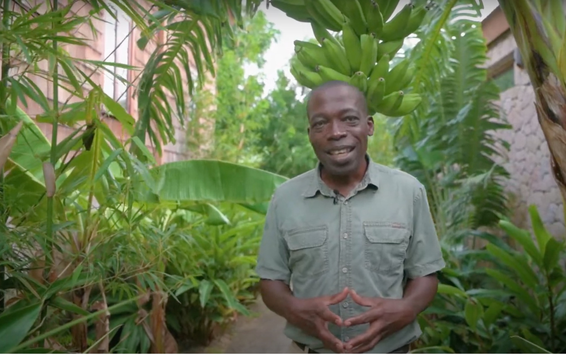 samuel raphael jungle bio