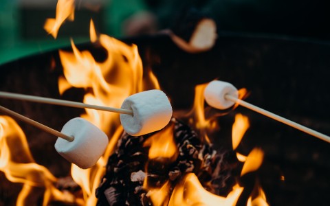 marshmallows being roasted 