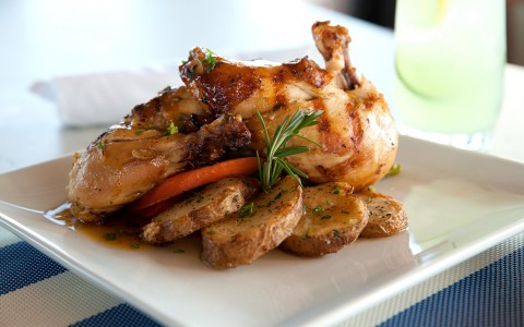 a gourmet chicken dish with herbs