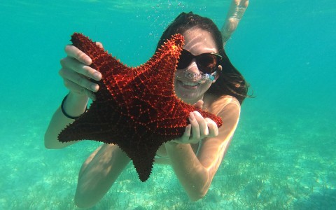 View of a happy young lady holding a starfish