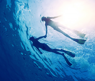 silhouette of 2 people snorkeling in the water holding hands