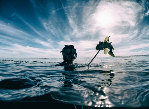 a photo of a man who is spearfishing
