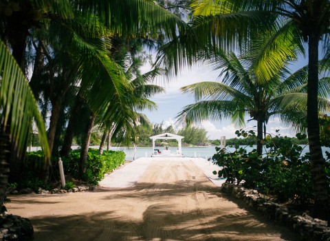 Sandy path lined with palm trees to a ferry dock 