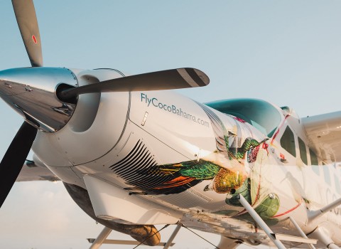 coco seaplane with birds painted