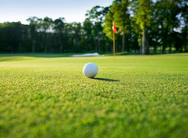 a golf ball on the field