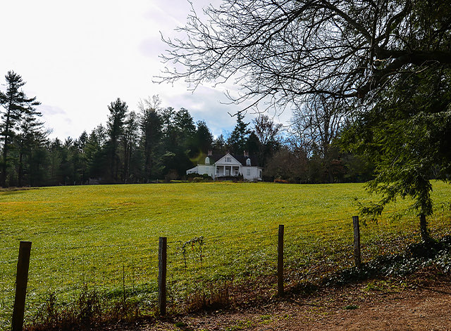 Greenery outside with a house in the distance