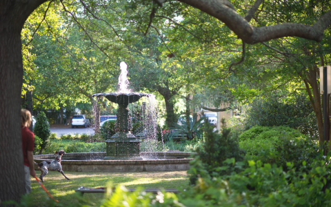 Outdoor water fountain surrounded by greenery