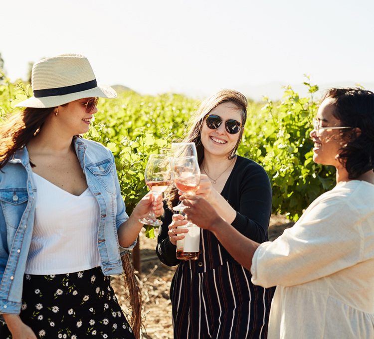 Three women making a toast with rose wine at the winery