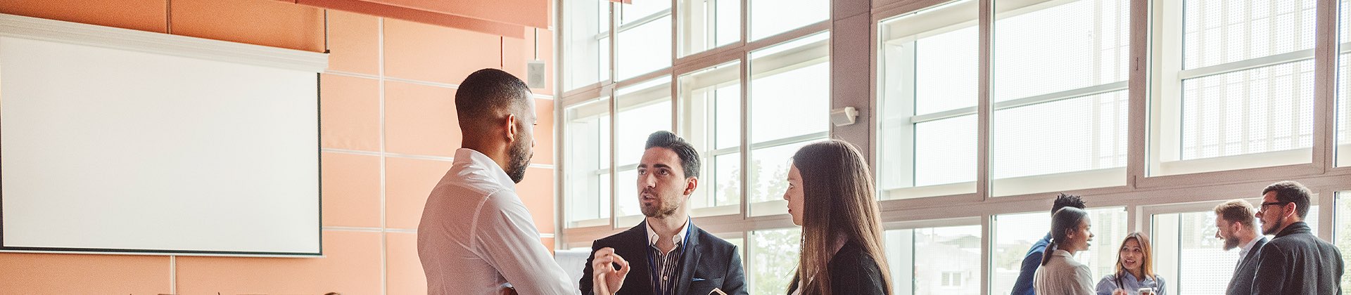 people in meetings
