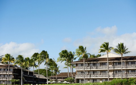 view of the outside of the resort with several palm trees on a sunny day