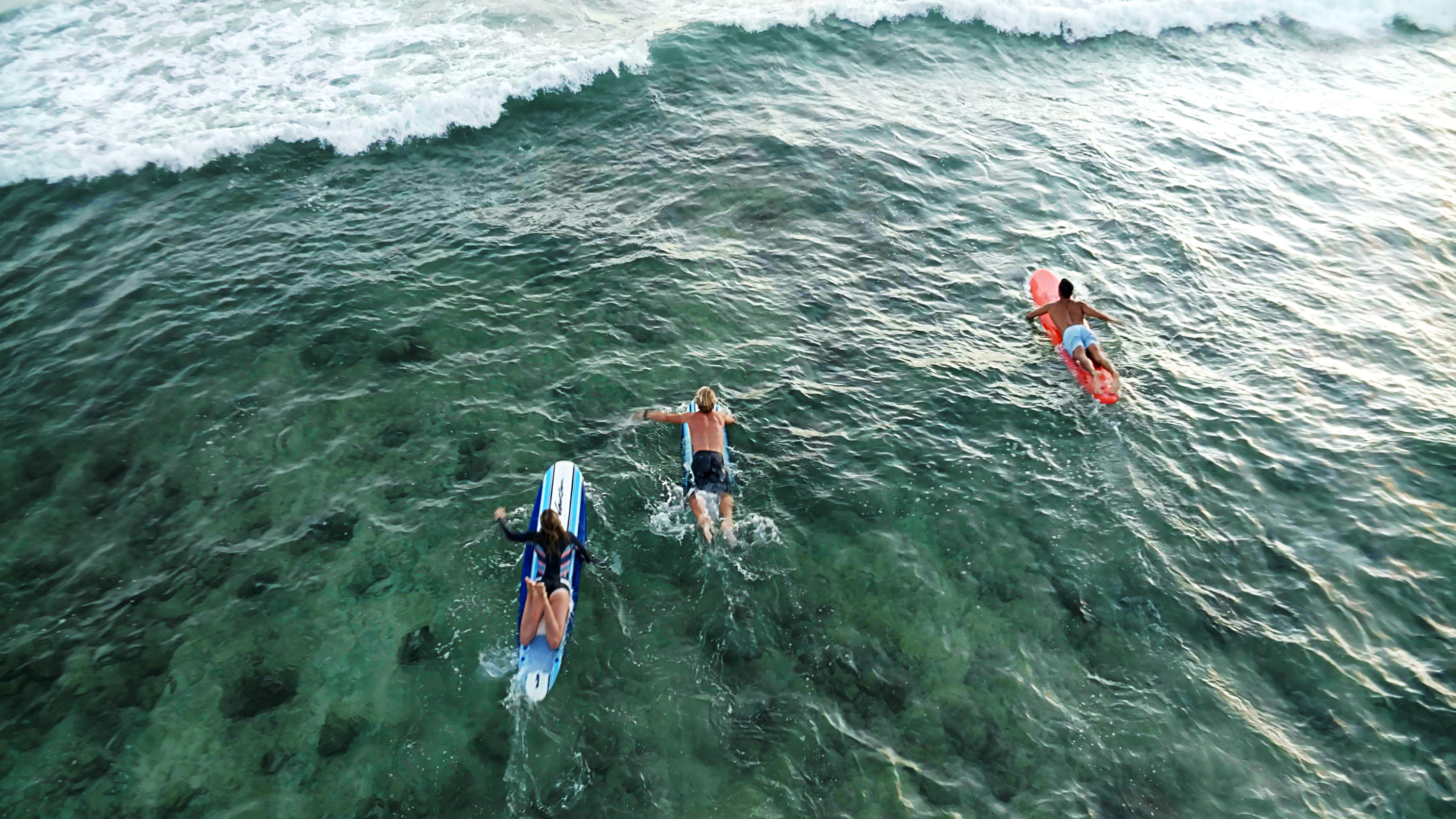 surf lessons