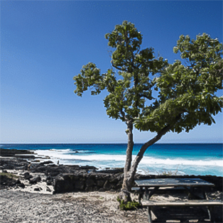 Rocky beach front on a clear day