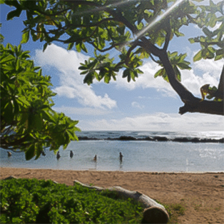 View of a couple people in shallow water