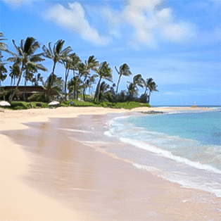 beautiful beach front inlet