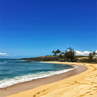 Golden sanded beach on a clear day