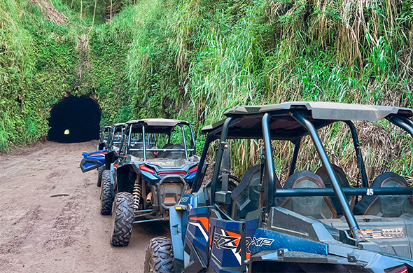 a row of blue atvs with a cave in the background