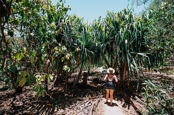 woman with a hat and bookbag on hiking through a planted area