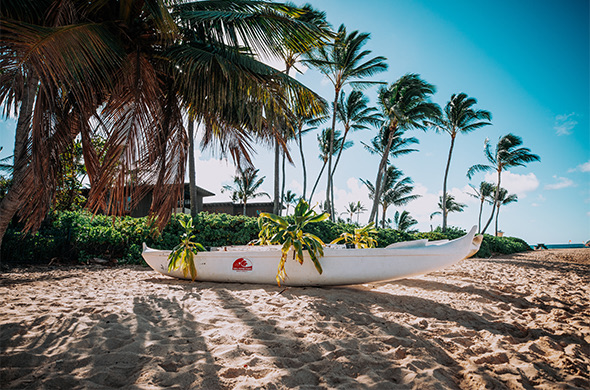 white kayak on the shore with several palm trees in the back