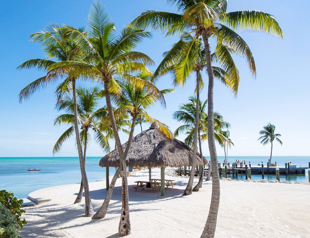 Florida Keys Hotel Official Website La Siesta Resort Marina