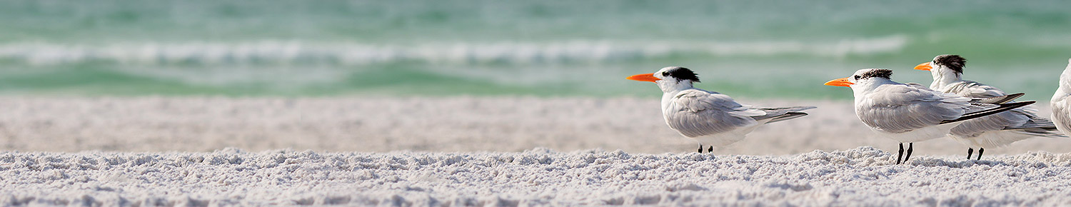 Islamorada Resort & Florida Keys Deals
