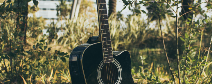 Bluegrass on the Beach