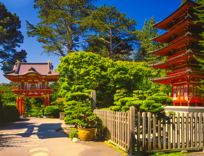 golden gate park japanese garden