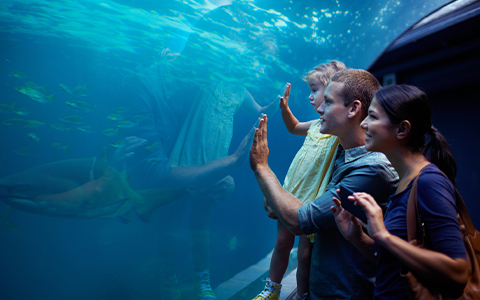 aquarium with children looking into the glass
