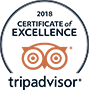 trip advisor logo color new