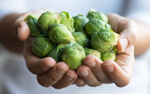 hands holding sprouts 
