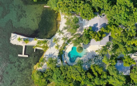 aerial view of property with pool and vegetation