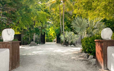 Entrance to property filled with lush vegetation
