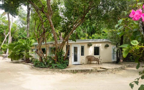 exterior of a white bungalow surrounded by trees