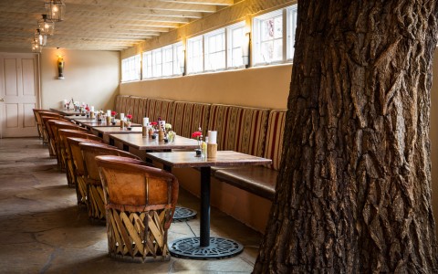 Dining Tables, Bench and Chairs with Tree Trunk in Foreground
