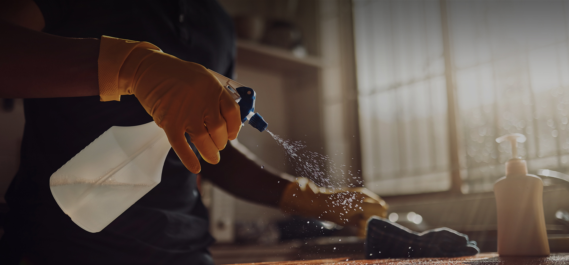 close up of a person spraying a cleaning solution onto a countertop with the sun shining in from outside