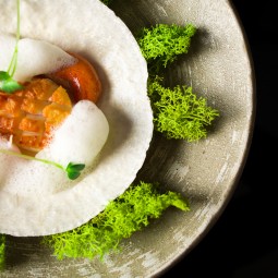 creative dish with foam and sauces on a tortilla