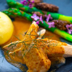 elegant salmon dish with a dark orange sauce, potato puree and asparagus