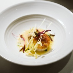 scallop beautifully plated with yellow and purple leaf sprigs 