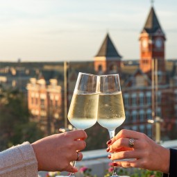 people cheering their glasses of champagne with a rooftop view