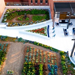 overview of the rooftop garden