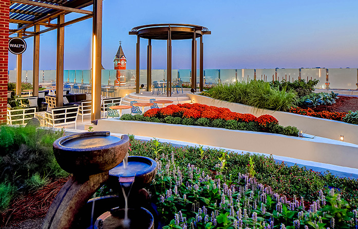 Rooftop garden