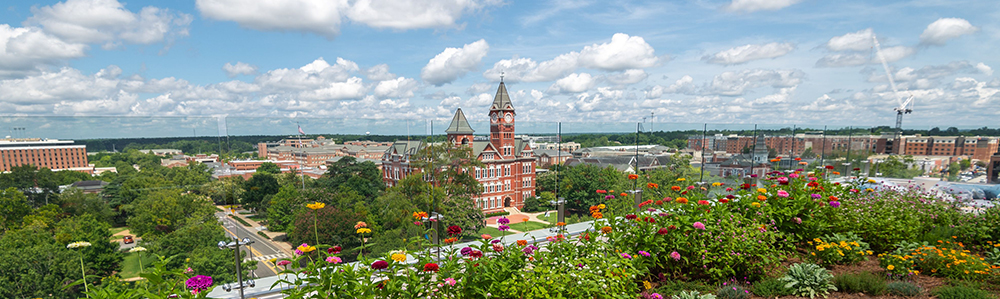 rooftop garden view of the city