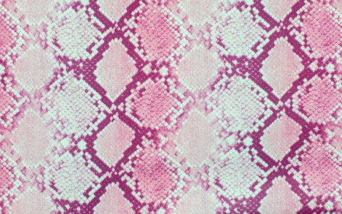 pinkpythonprint