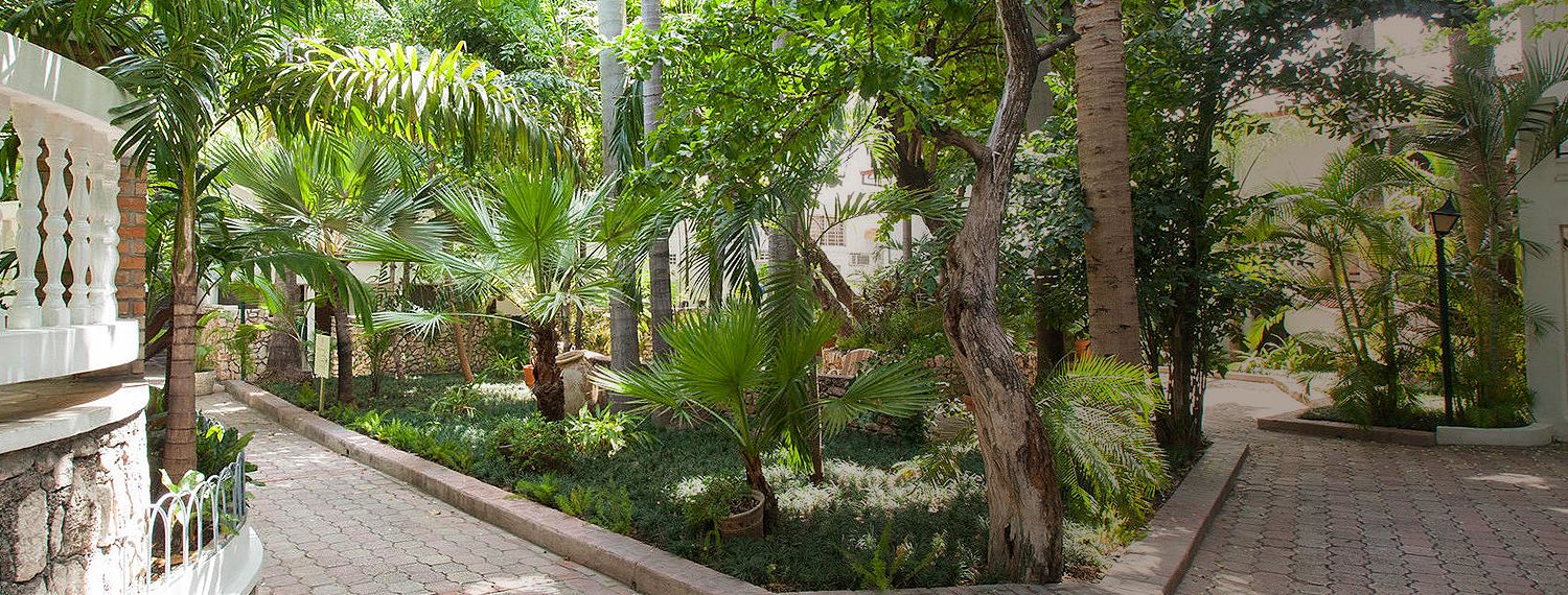 Brick walkways surrounded by greenery