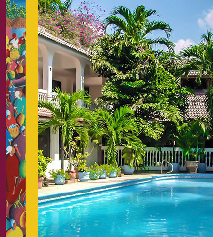 Pool surrounded by palm trees